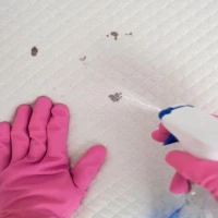 Bodily Fluids Cleaning 1